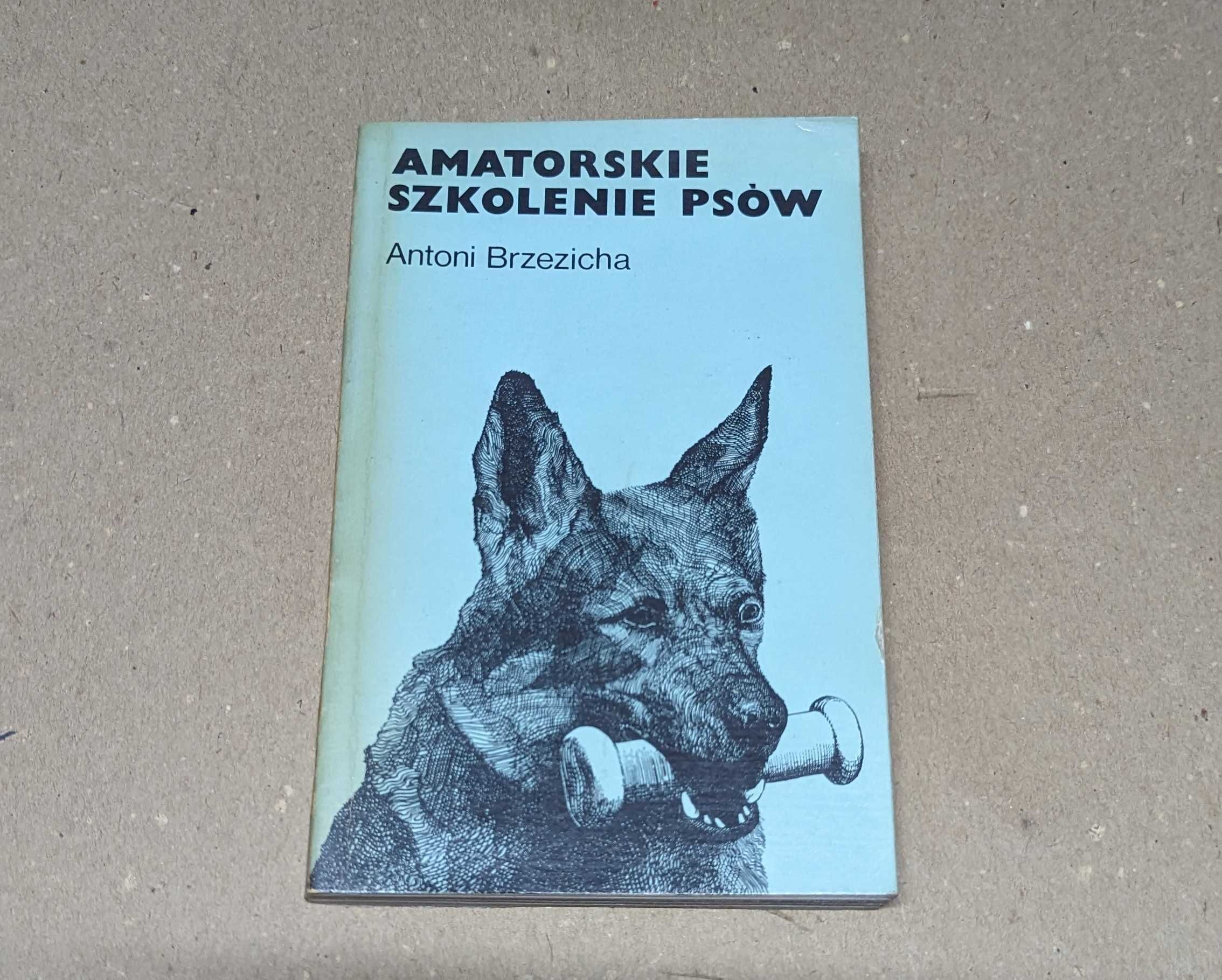 Amatorskie szkolenie psów Antoni Brzezicha