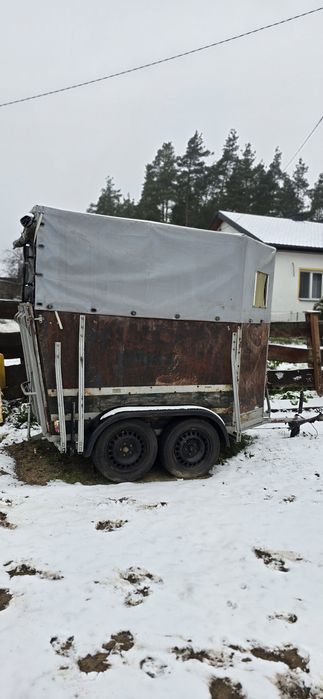 Przyczepa do przewozu koni