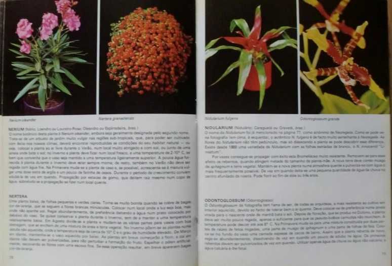 Plantas de Interior - Rob Herwig