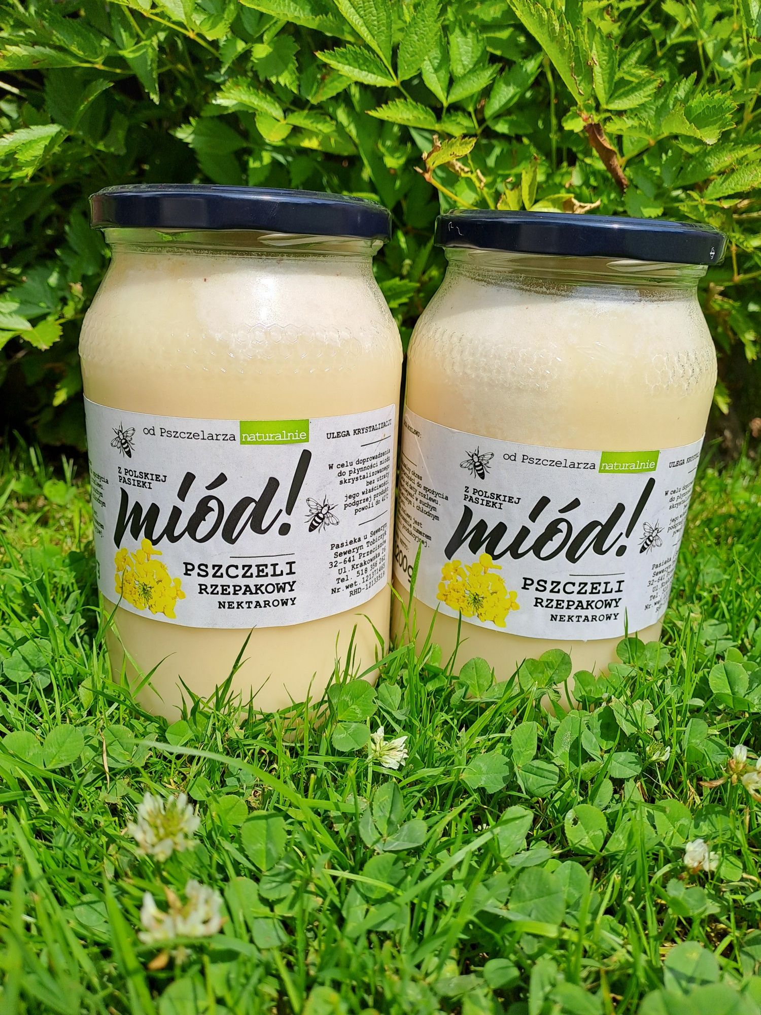 Miód rzepakowy , wielokwiatowy, lipowy, spadziowy, kit
