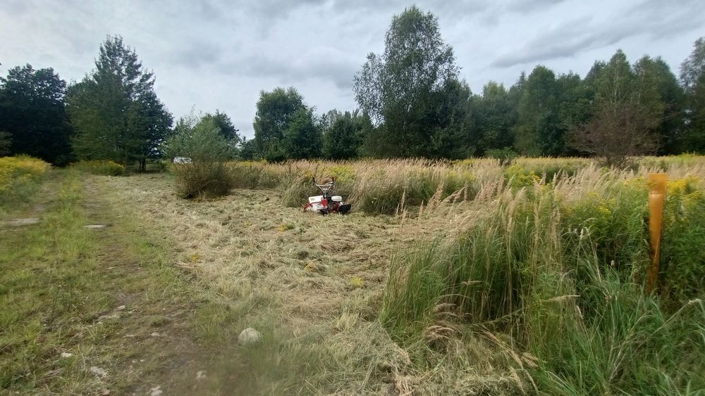 Karczowanie koszenie działek budowlanych, traw, samosiejek, rowów