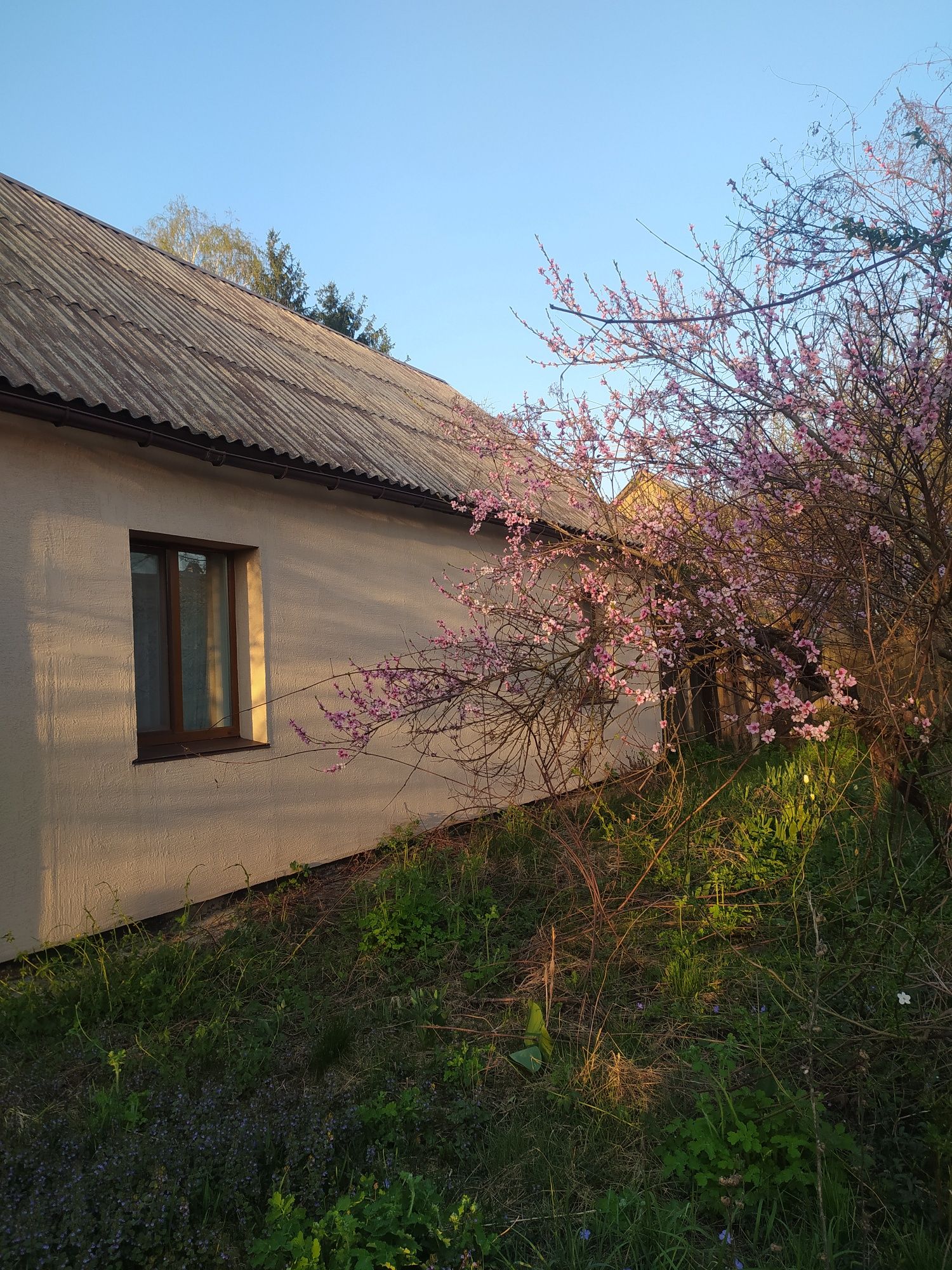 Продаж будинку в мальовничому місці село Нове Залісся.