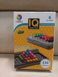 IQ smart games puzzle