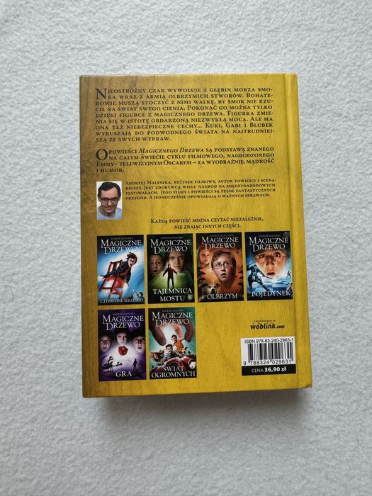 Książka Magiczne Drzewo, Cień Smoka