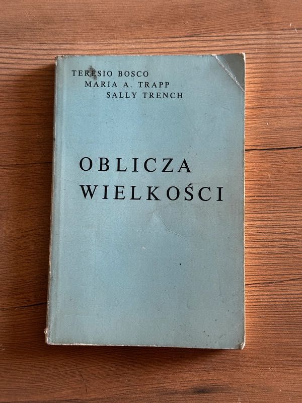 Oblicza wielkości - Teresio Bosco