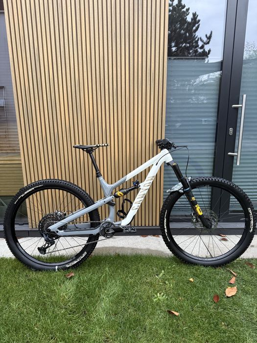 Canyon spectral 29FW (Fabio Wibmer)