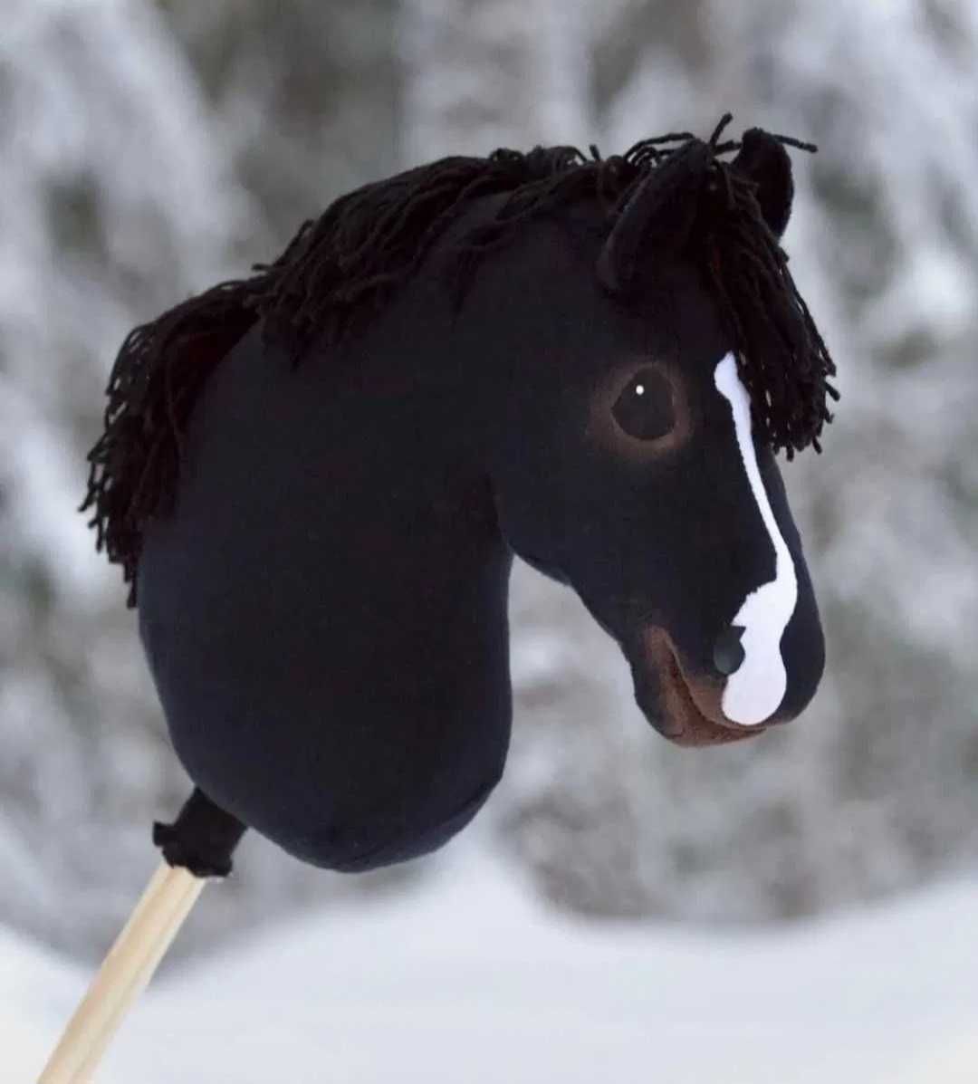 Hobby horse HAM la ingest skarogniada
