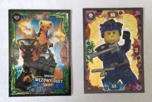 Karty LEGO Ninjago Groźny Wężowy Duet i Skrystalizowany Jay