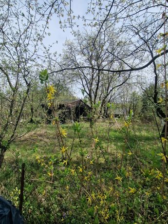 Działka ogrodniczo rekreacyjna Rodzinne Ogrody Działkowe Wilkanów