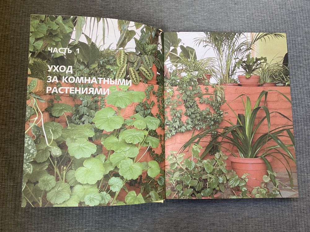 Книга «Лутшие комнатние растения»
