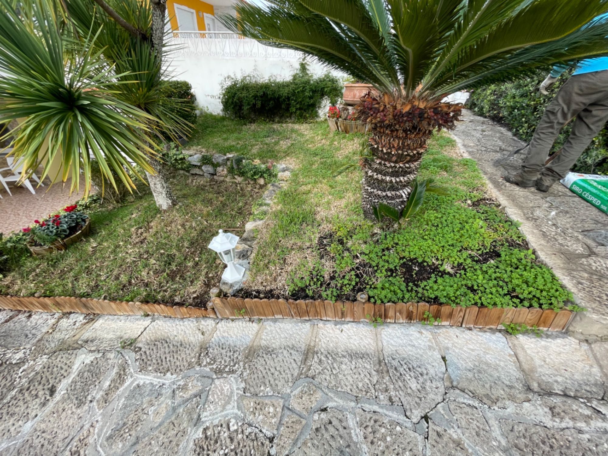 Serviços de jardinagem, jardineiro, poda e abate de árvores