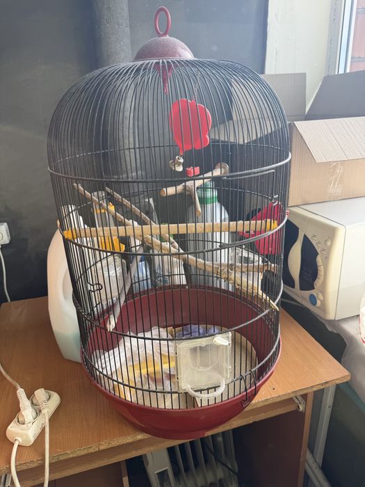 Продам клітку для папуги