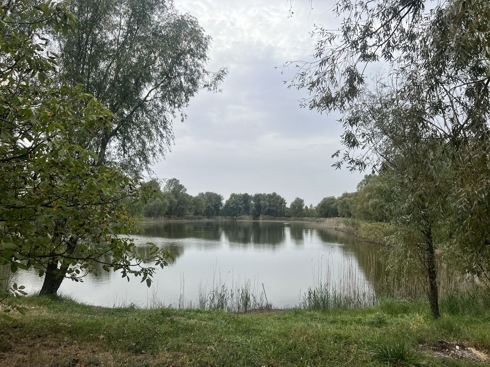 Продам будинок 50м2 с.Артемівка (дачний кооператив Агро)
