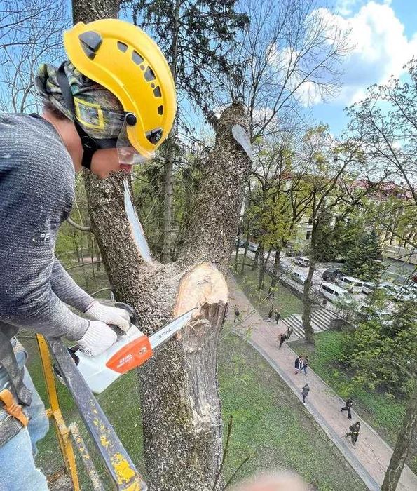 Покос травы, Расчистка участка, Спил, обрезка деревьев, Вывоз веток