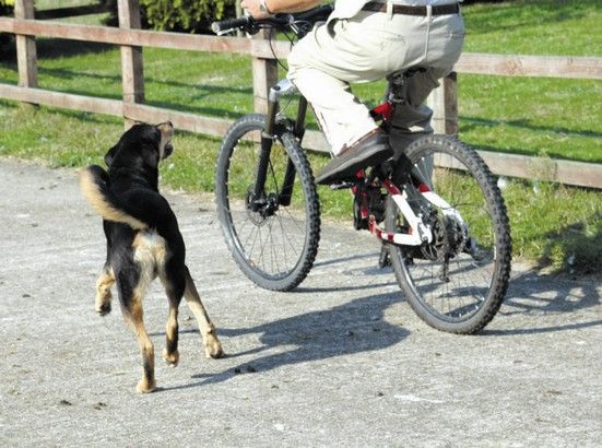 Spay do szkolenia zwierząt PetCorrector syk sprężonego powietrza 200ml