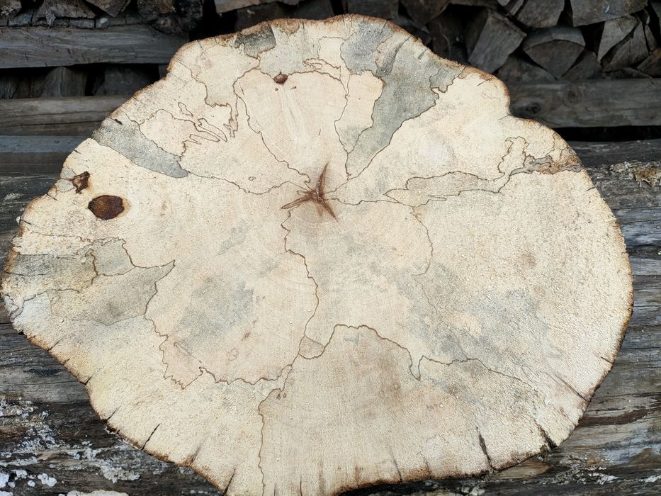 Торцевий зріз. Шпальт дерево груша