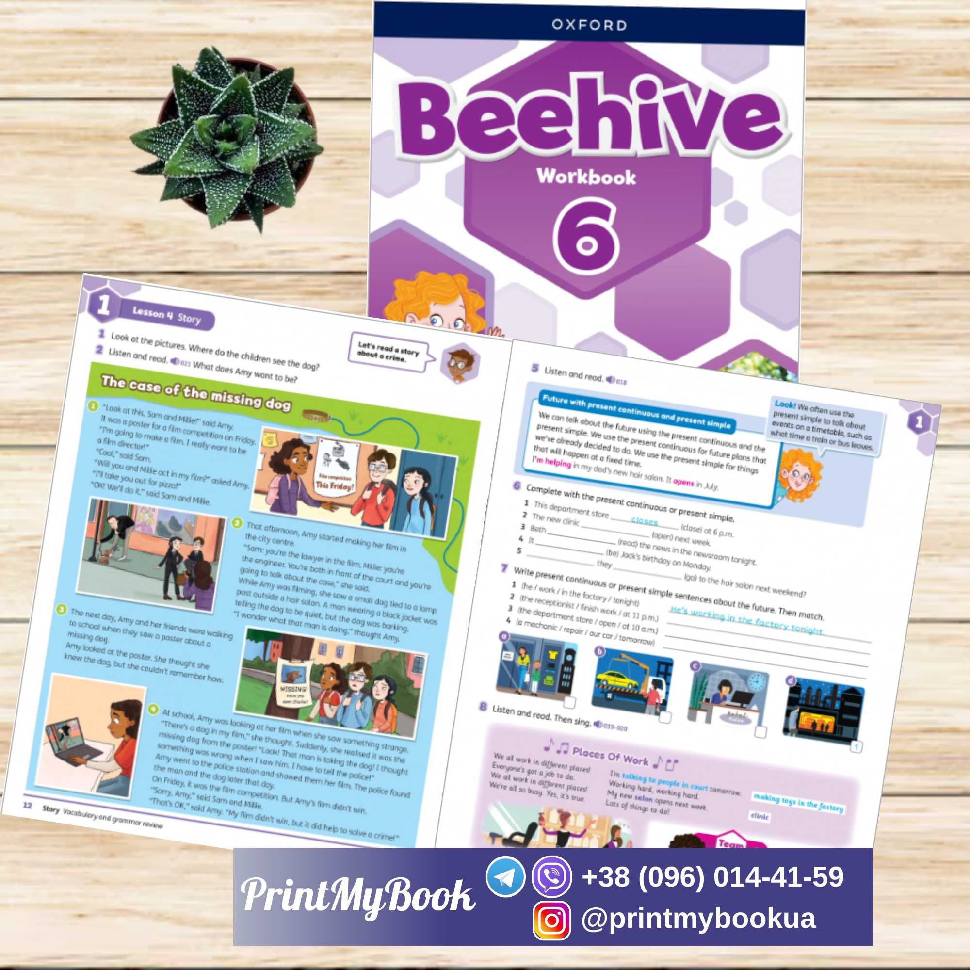 Beehive (Student’s Book + Workbook)