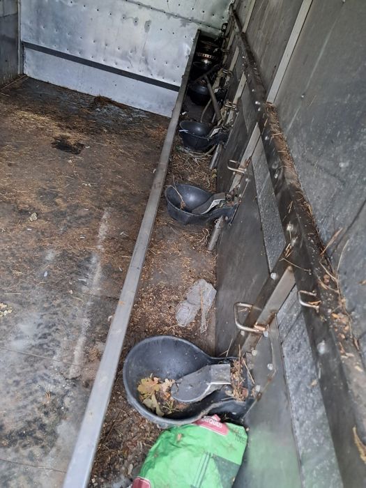 Vendo camião de transporte de cavalos