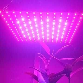 LED Фитолампа для Растений 256LED (Фито Гроубокс Рассада Зелень Цветы)