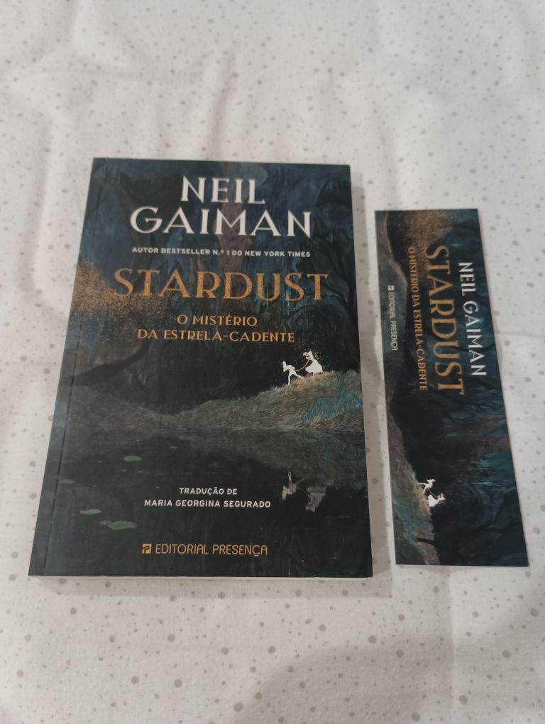 Livro Stardust O Mistério da Estrela Cadente