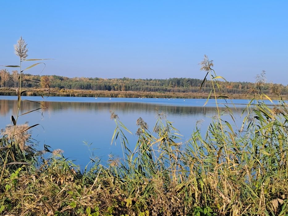Działka rekreacyjna z możliwością zabudowy, blisko A2