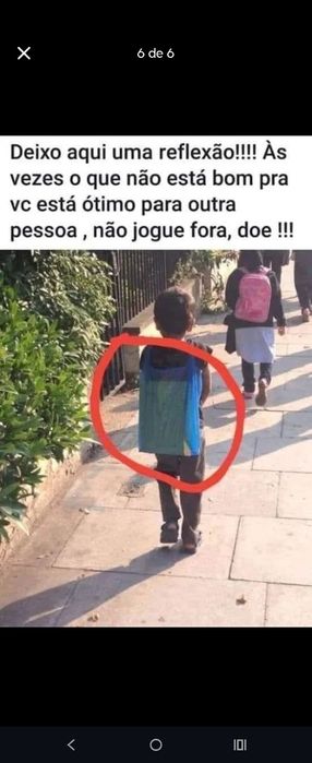 Recolhas Diárias