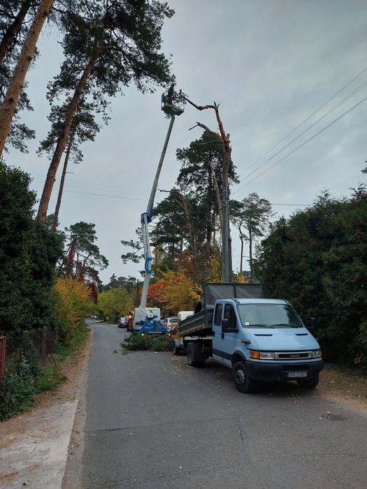 Przycinanie drzew wycinka usługi rębak frezowanie korzeni