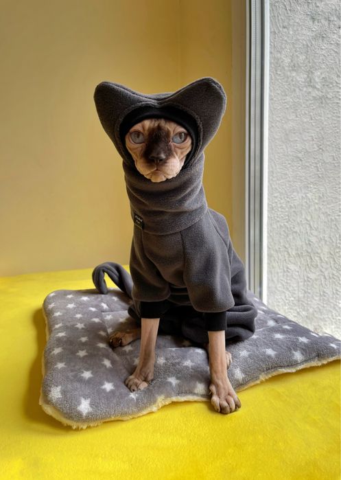 Шапка для сфінкса кота кішки кошеня одежда