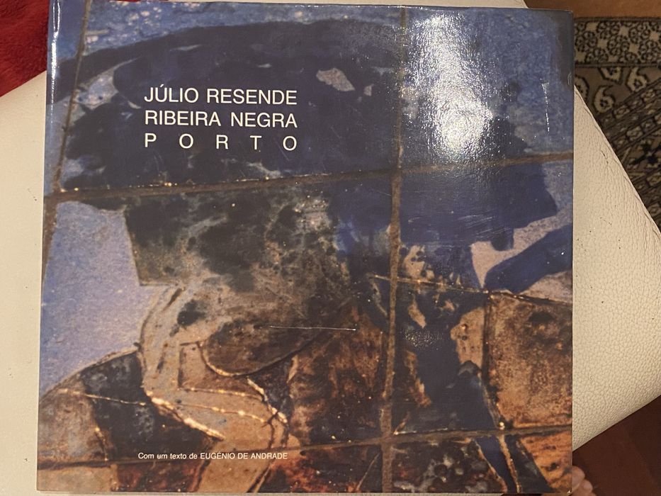 Livro de Arte Ribeira Negra Julio Resende