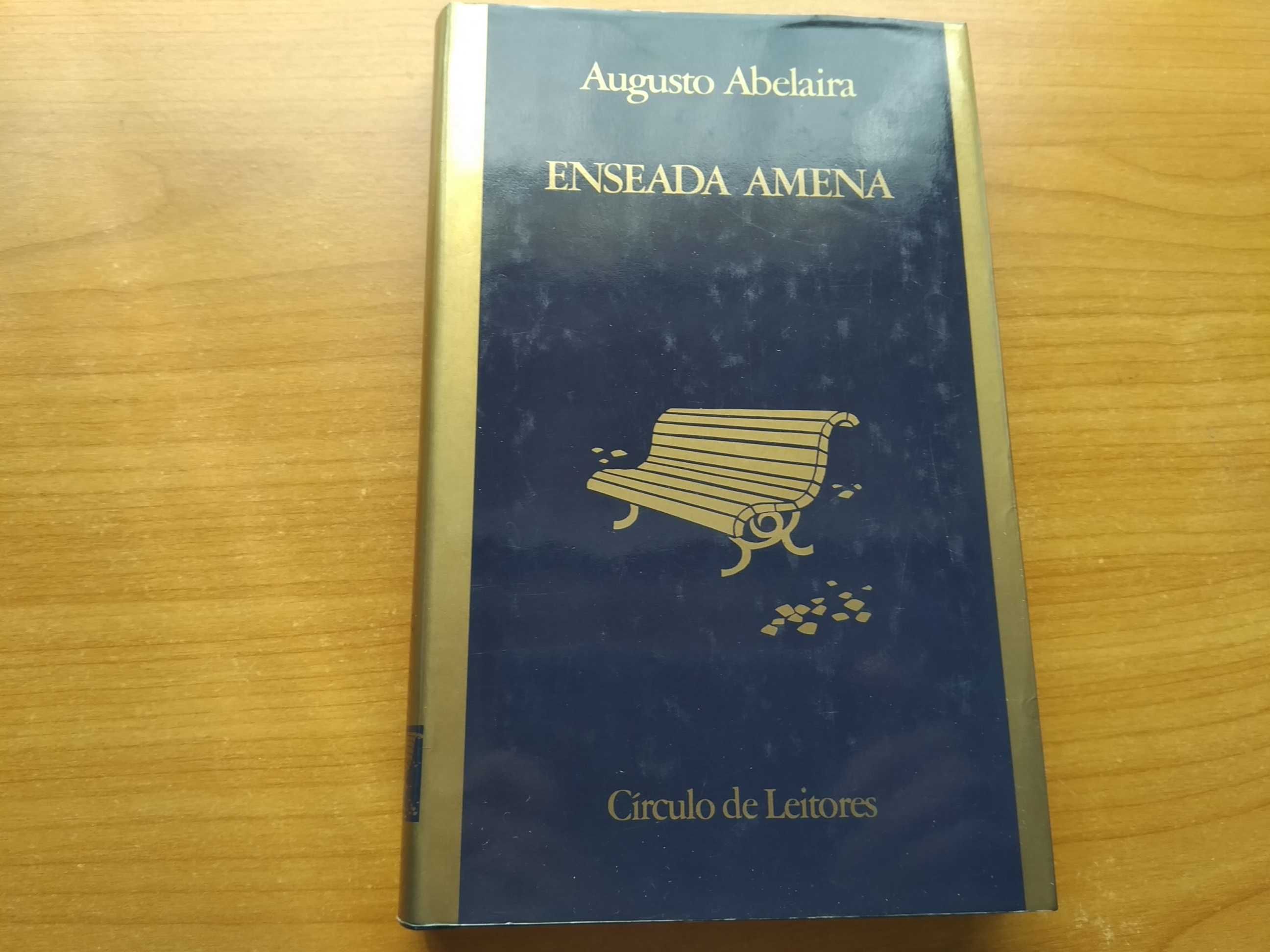 Enseada Amena - Augusto Abelaira