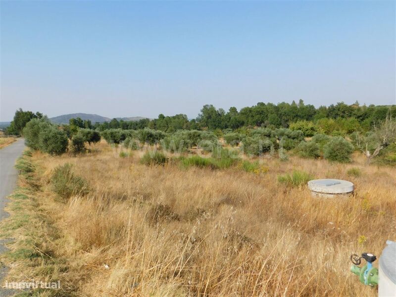 Terreno / Fundão, Enxames