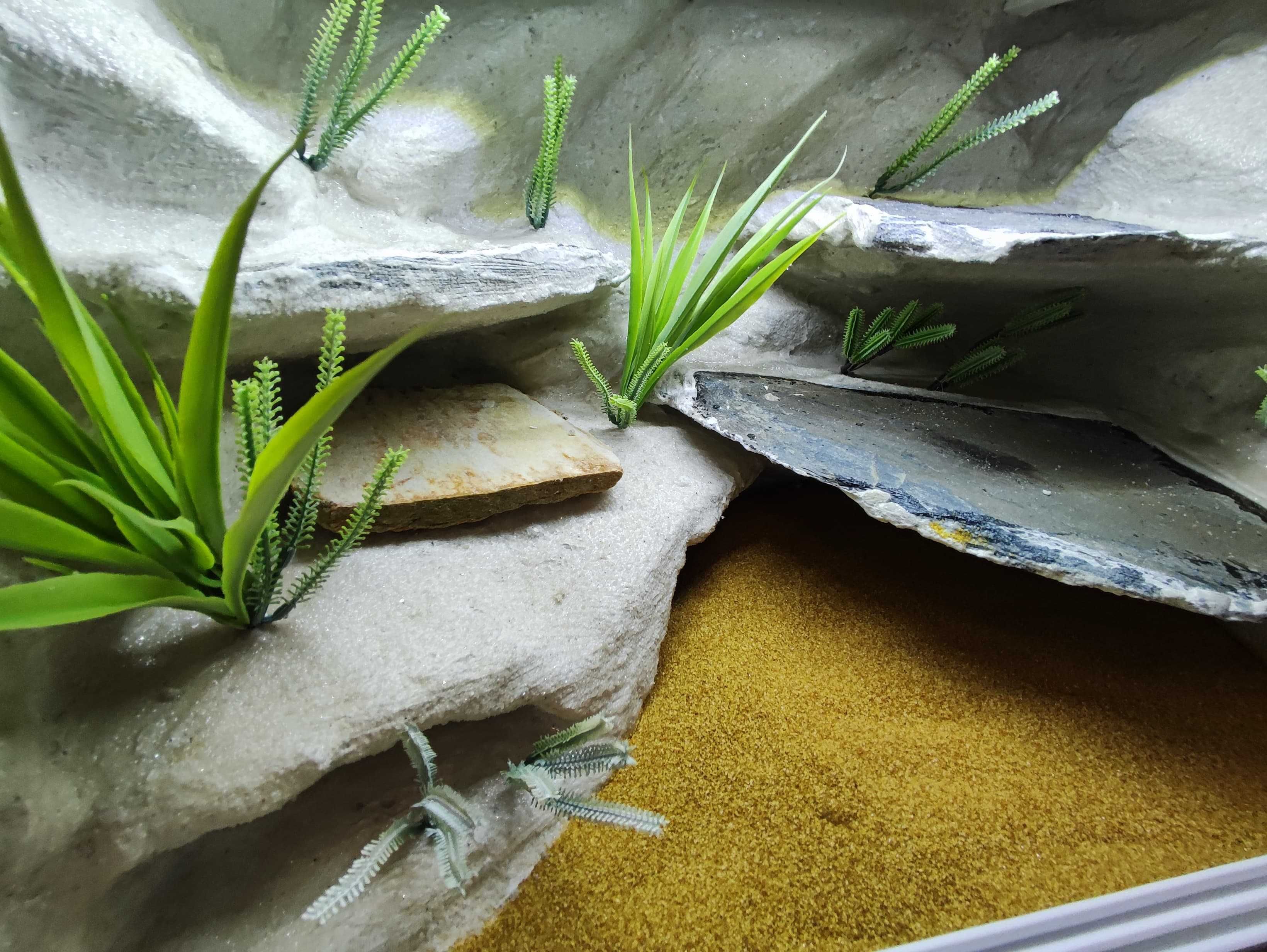 Terrarium pustynne nr686 60/40/40 dla gekona lamparciego DOSTĘPNE