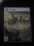 Hogwarts Legacy PS5 (Dziedzictwo Hogwartu)