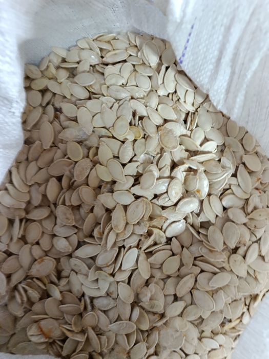 Гарбузова олія насіння