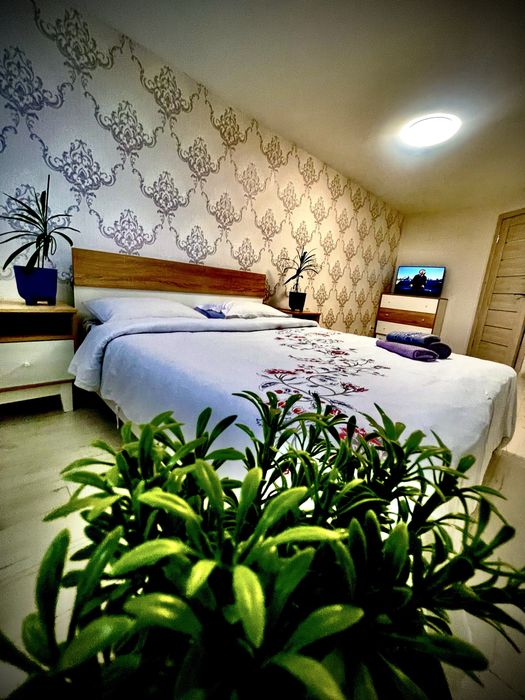 Вільна Центр потижнево подобово погодинно