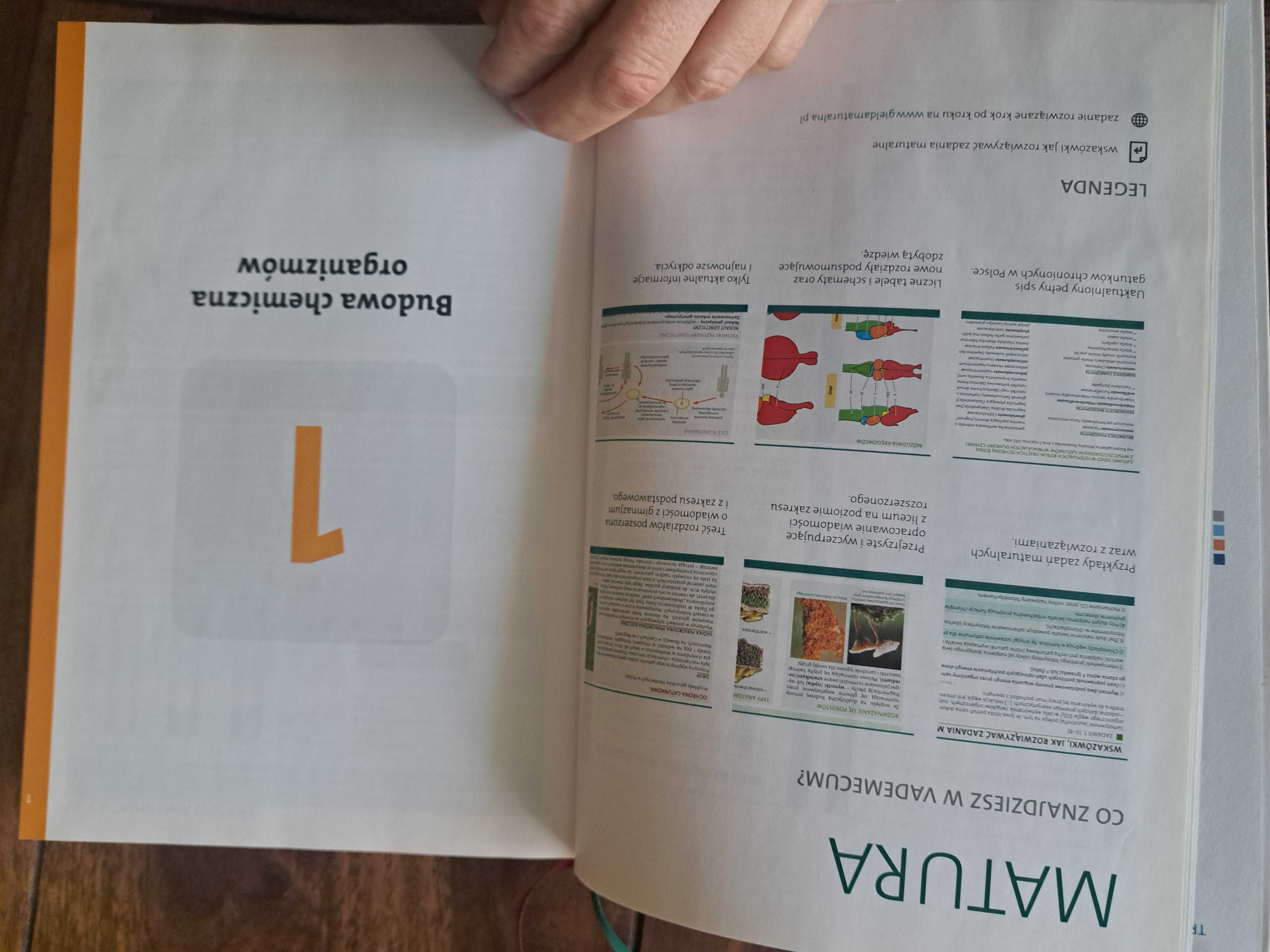 Matura Vademecum Biologia zakres rozsrzerzony  Operon