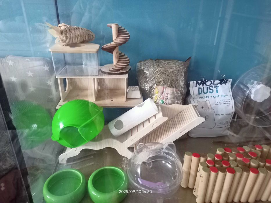 Akwarium z wyposażaniem dla chomika