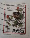 Znaczek stemplowany Modrzew Europejski, 1995 rok