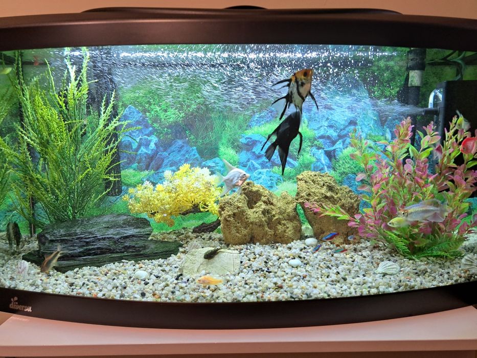 Sprzedam Akwarium 112L Diversa (Bez Rybek)