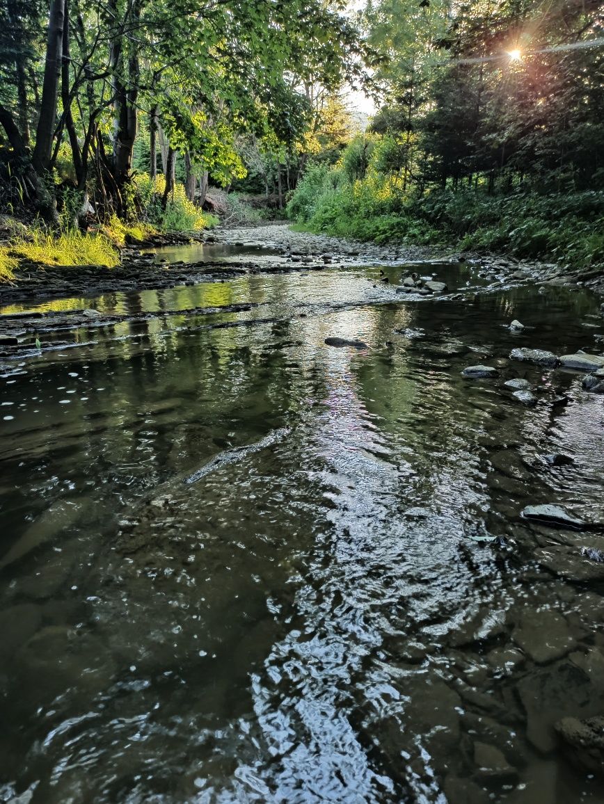 Domki nad rzeką Bieszczady Baligród Cisna Solina