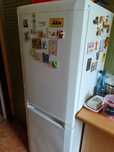 Lodówka Beko wys 153cm