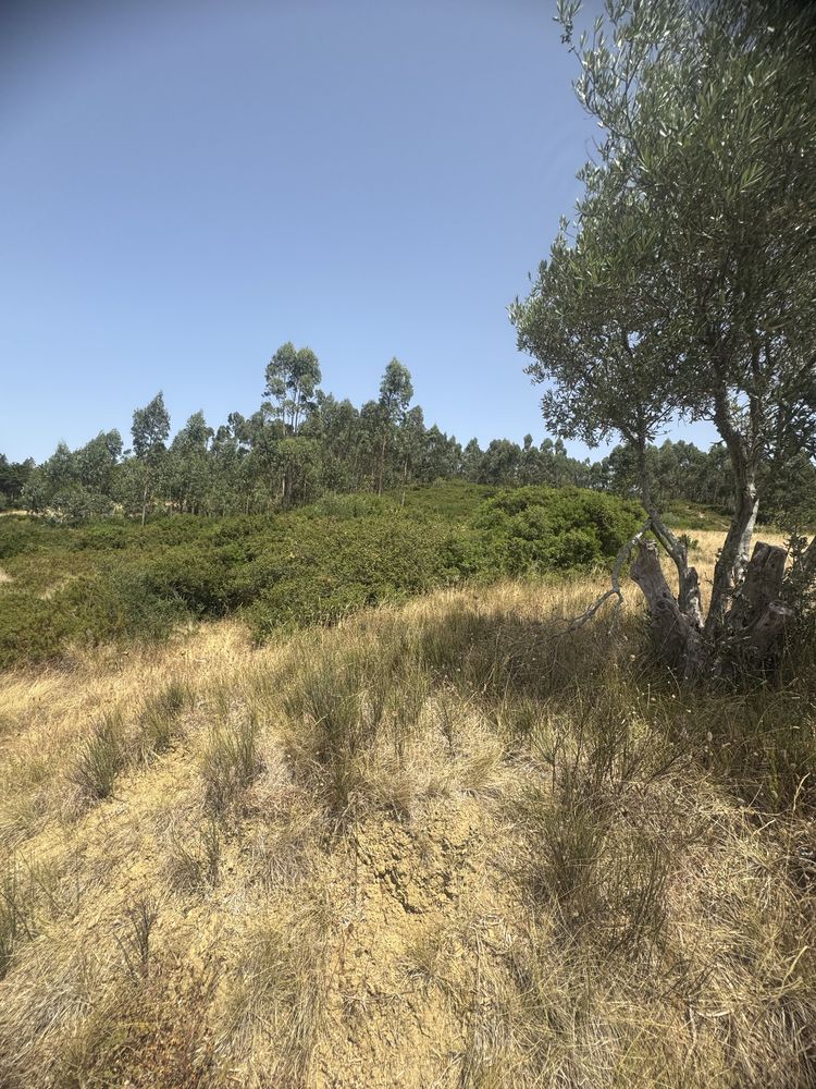 Terreno com 10000 imperdiv