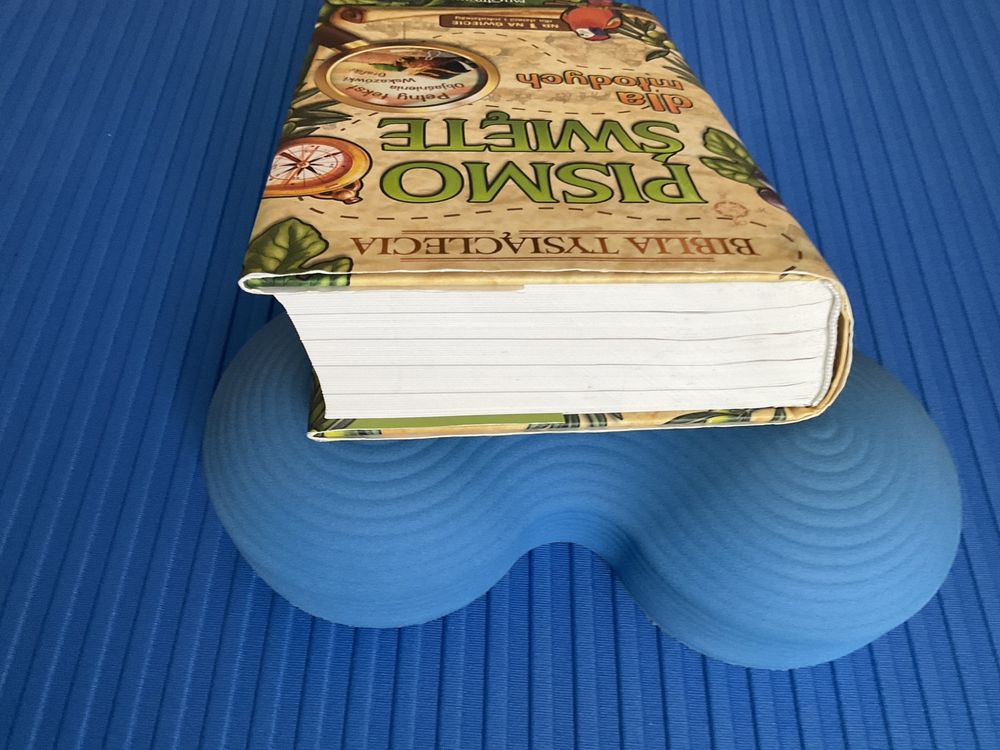 Pismo Święte Starego i Nowego Testamentu