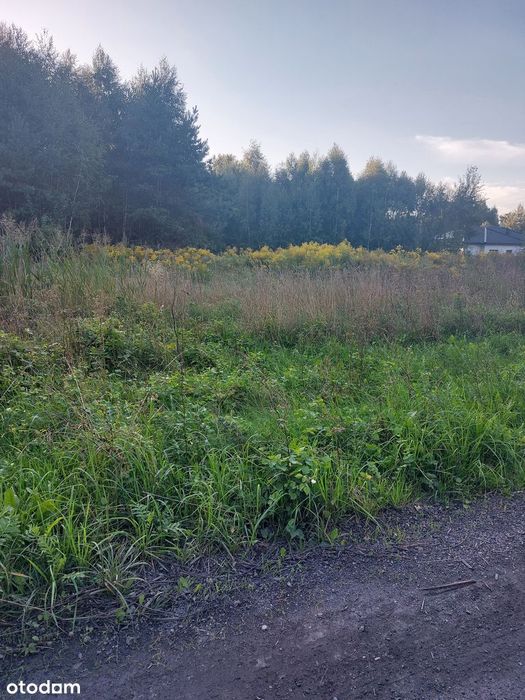 DZIAŁKA budowlana z WZ - Gałków Mały