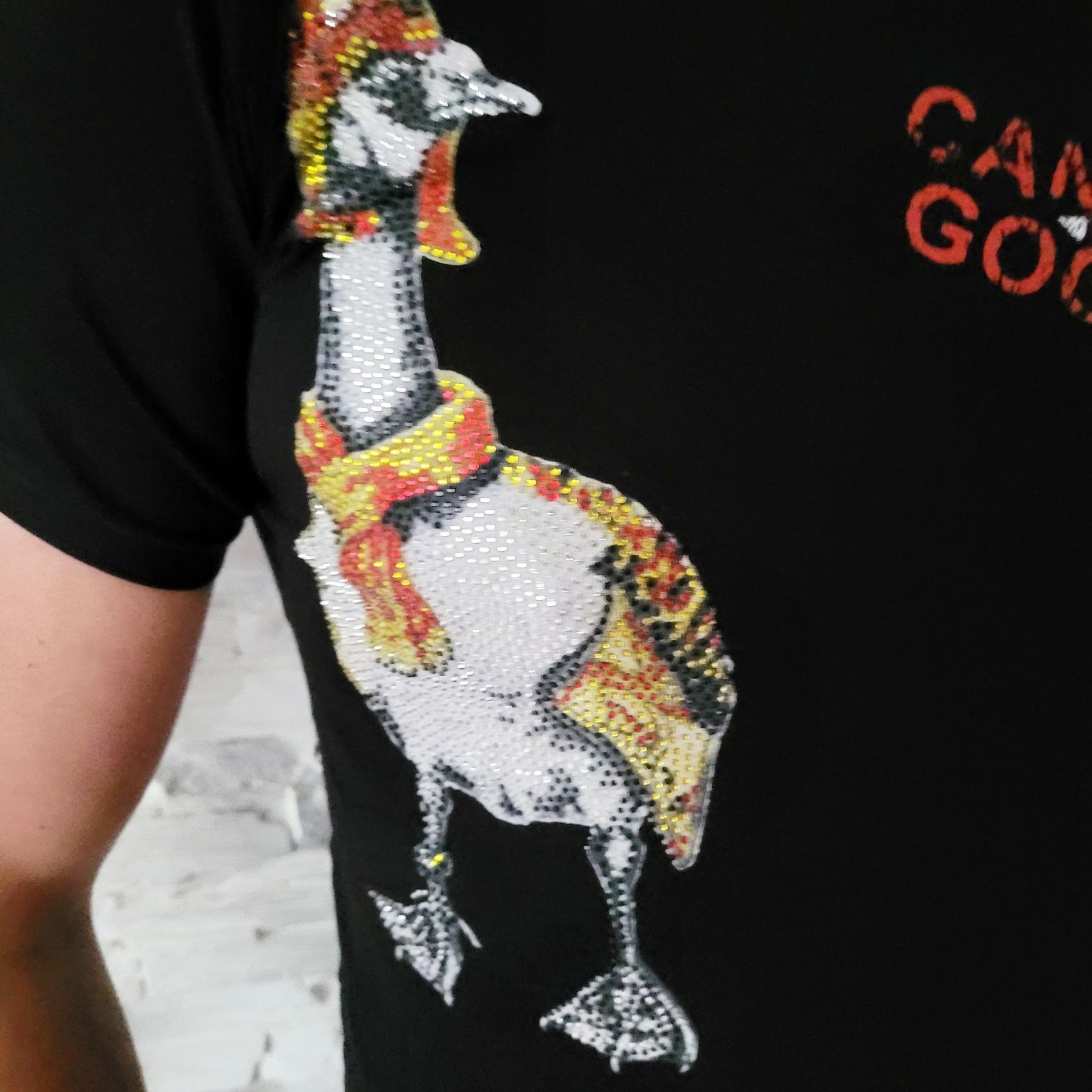 Koszulka T-Shirt męski Canada Goose zdobienia.