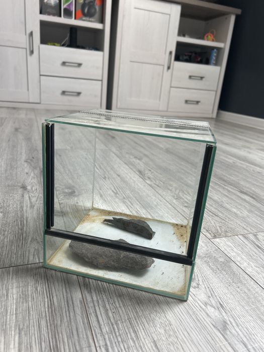 Terarium np. dla patyczkow