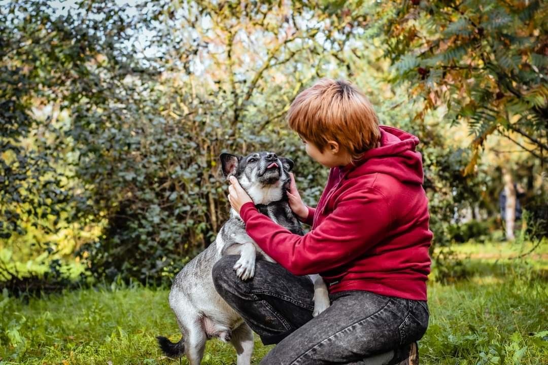 Kleks już tak długi czeka na swój dom... Czy ktoś go wreszcie pokocha?