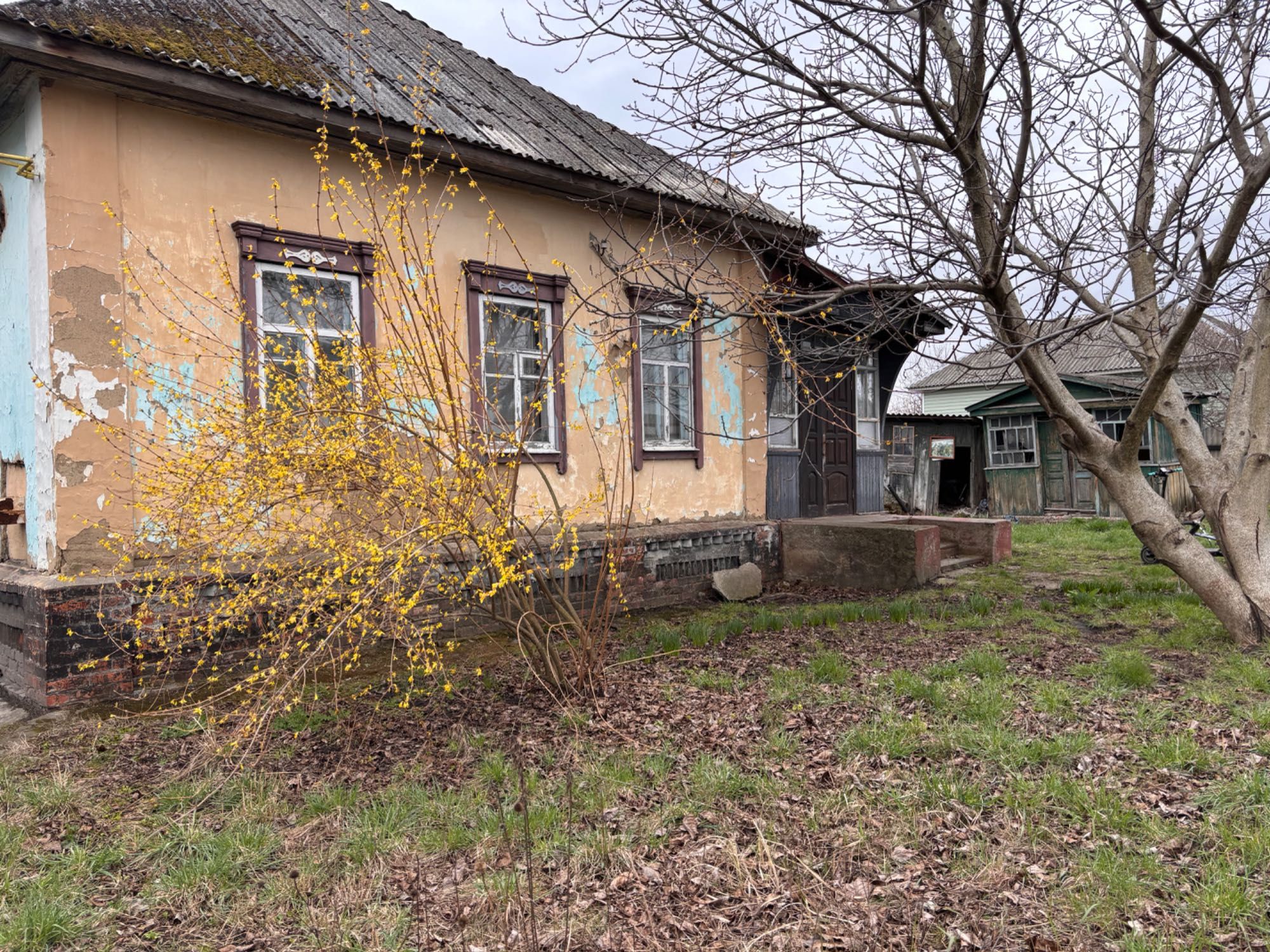 Продам будинок з земельною ділянкою