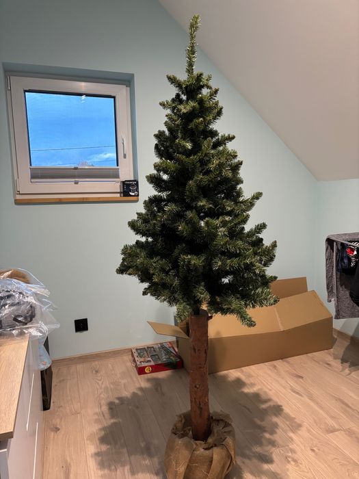 Choinka na pniu okazja