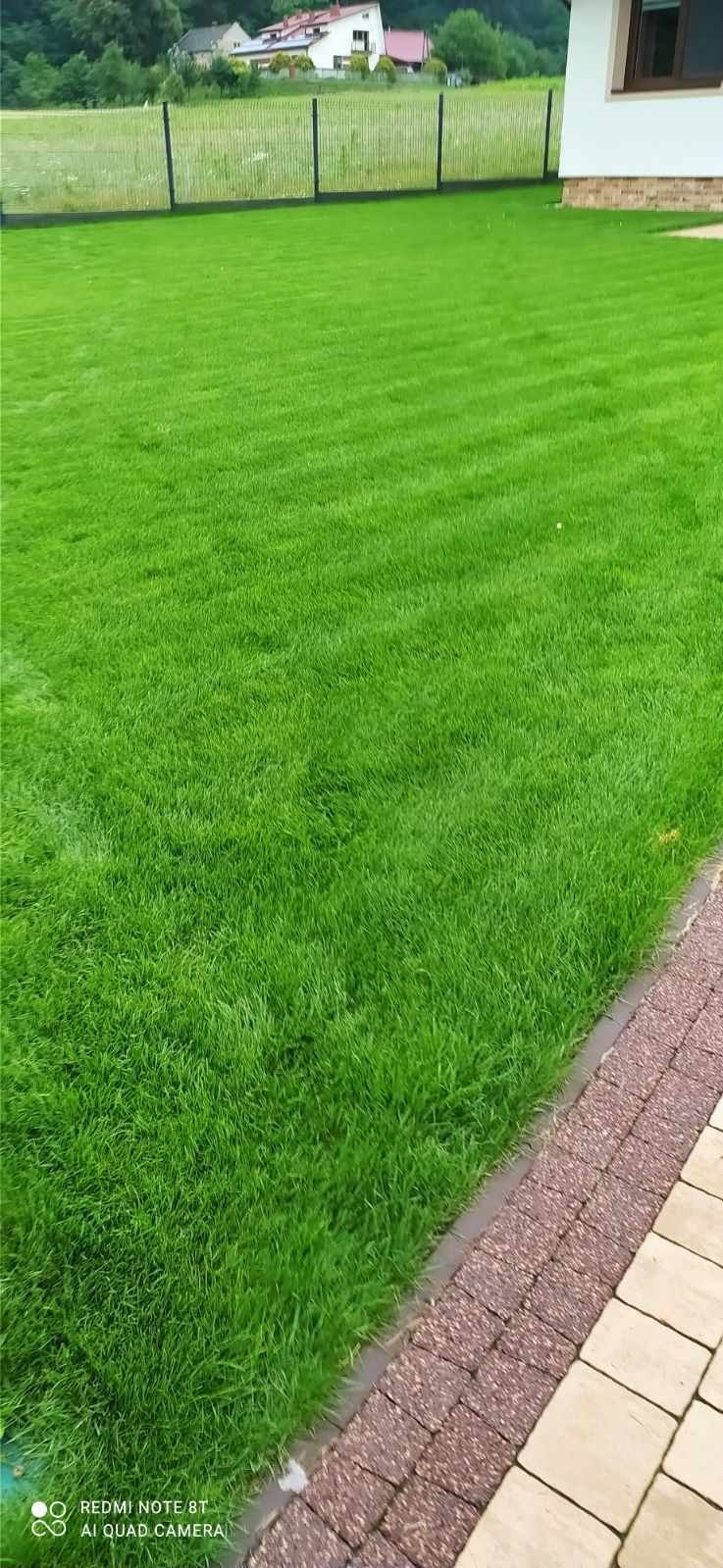 Trawa z rolki  z dowozem